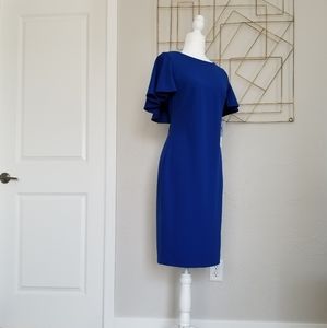 Calvin Klein Royal Blue Sheath Dress (Size 6)